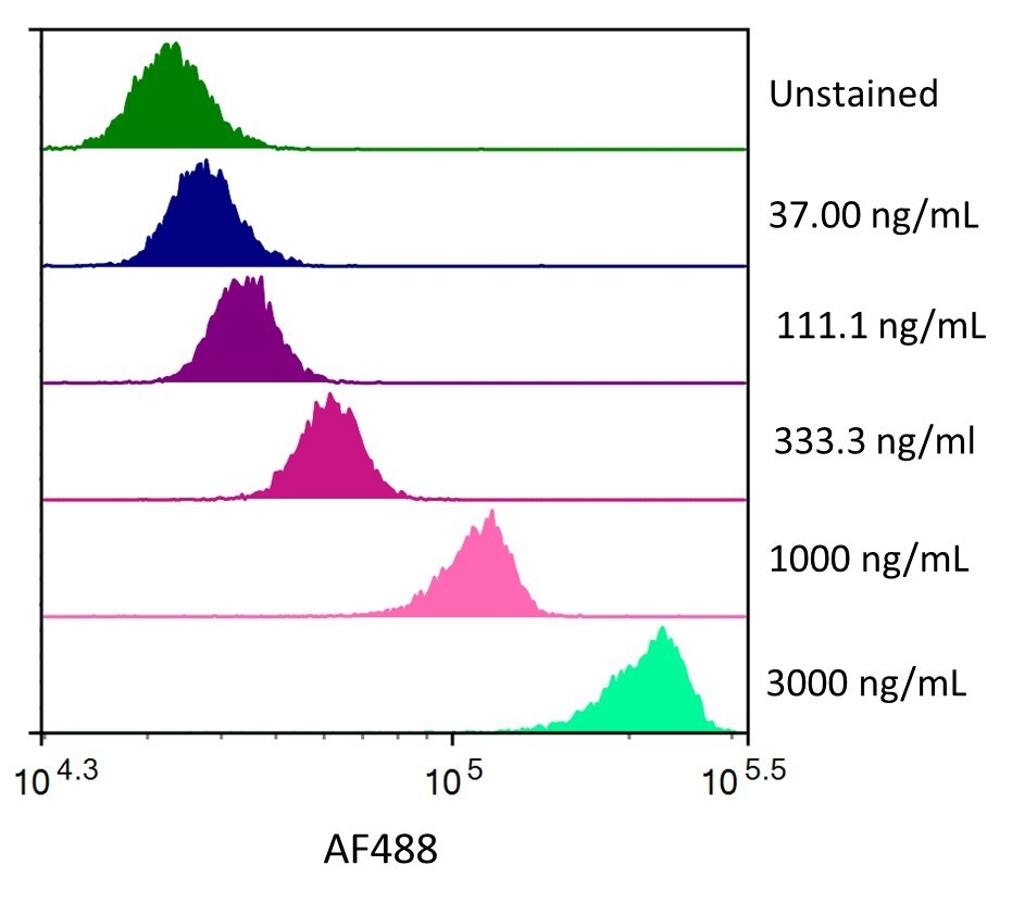 Streptavidin coated beads conjugated to biotinylated anti-human ErbB2/Her2 Monoclonal Antibody were stained with the indicated concentrations of Recombinant Human ErbB2/Her2 Fc Chimera His-tag Alexa Fluor® 488.